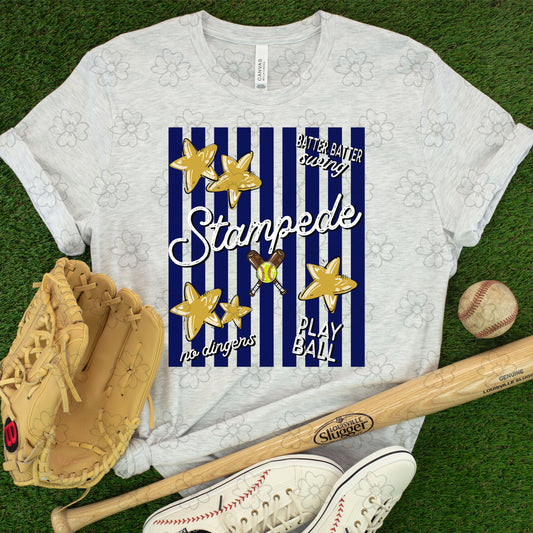 Stampede Stars and Stripes Baseball/Softball ~ 26SAG ~ DTF Transfer