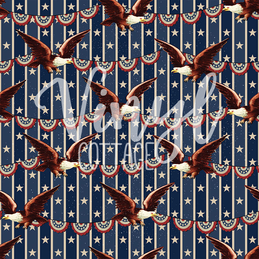Vintage July 4 01