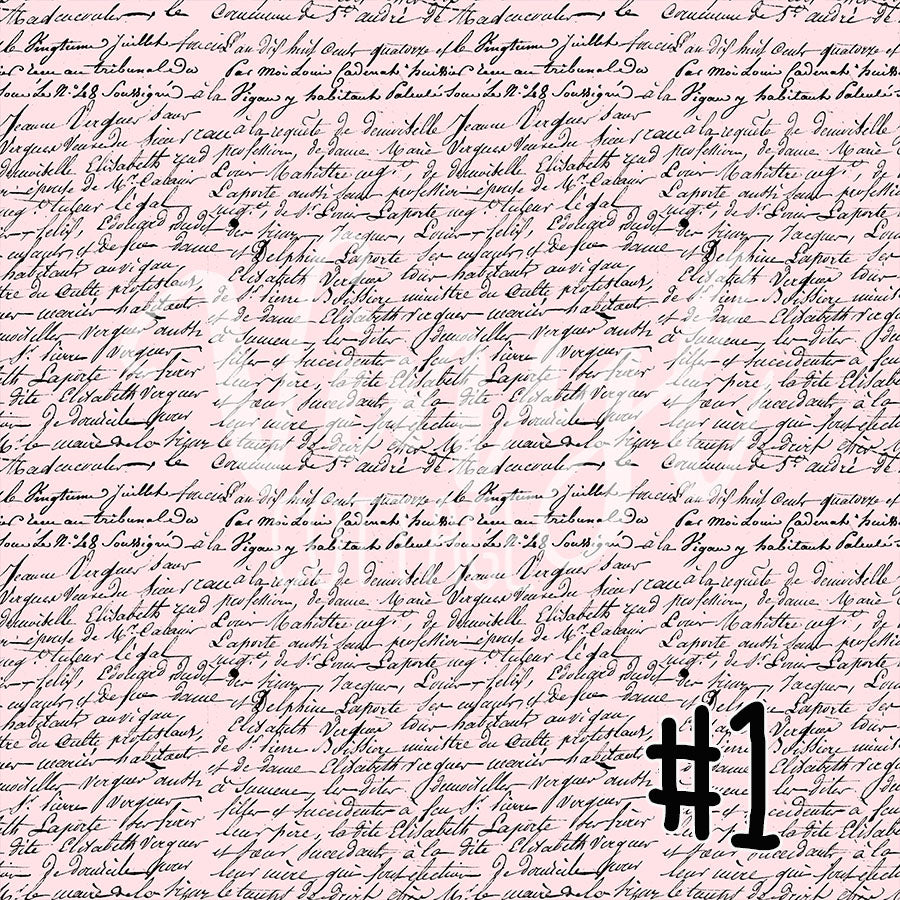 Paris In Pink 01 -s86