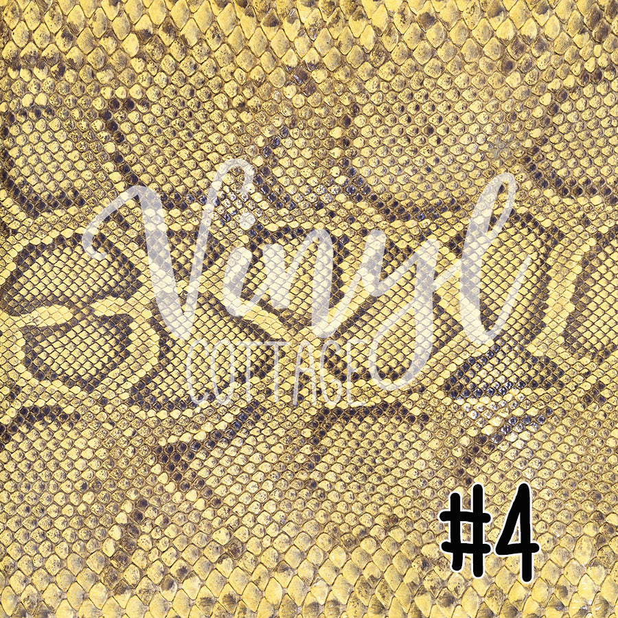 Snake Leather 04