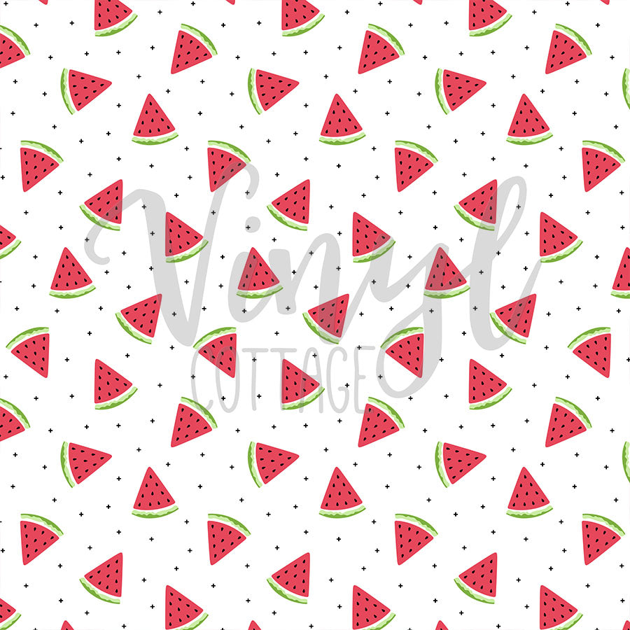 Watermelon 04