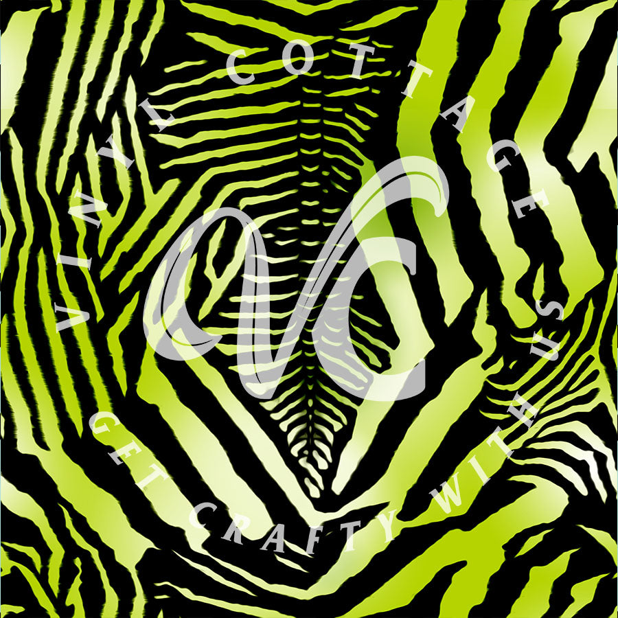 Zebra 07