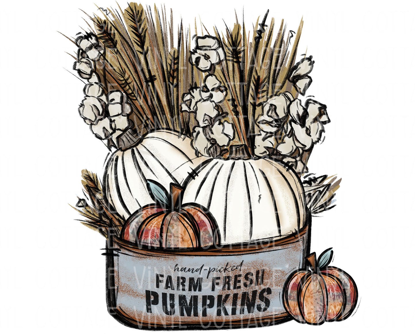 TR785 Farm Fresh Pumpkins
