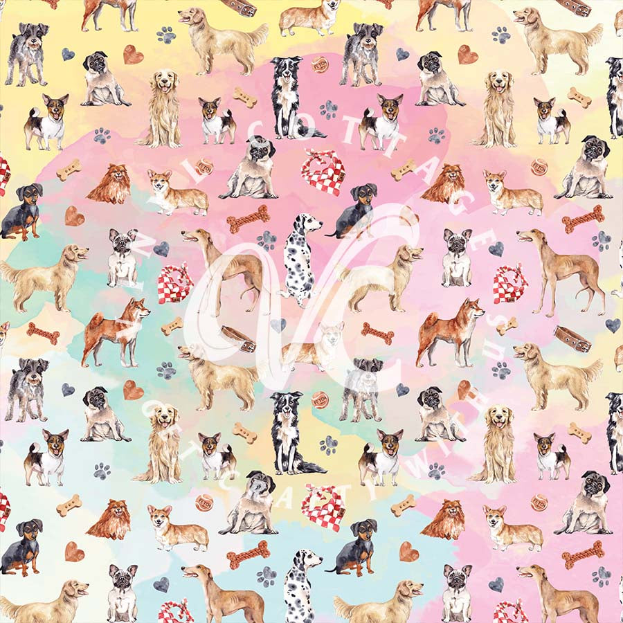 Pups 01
