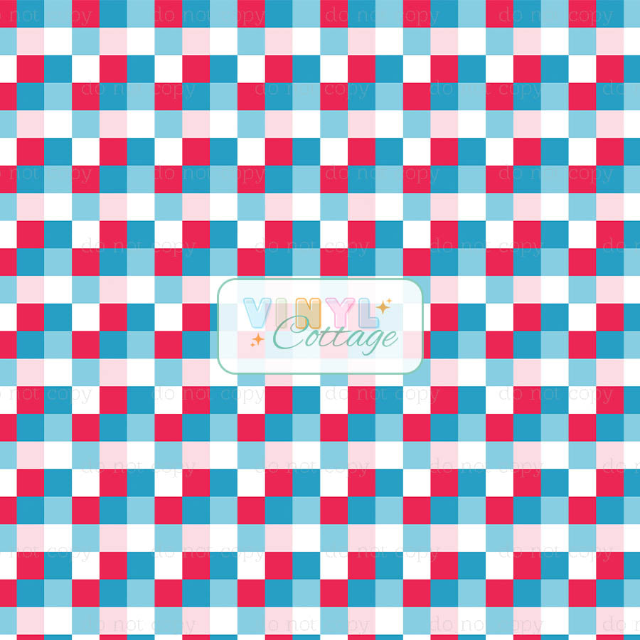 American Checks ~ 1495 ~25ET05