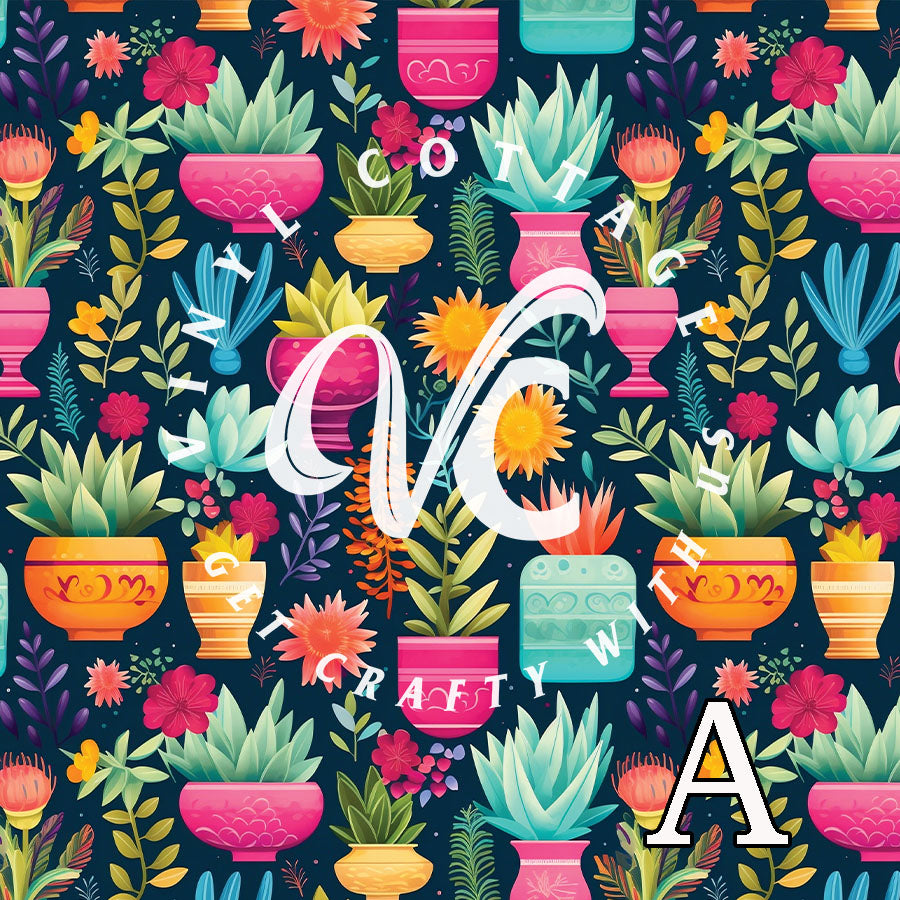 Colorful Cacti ~ LV12
