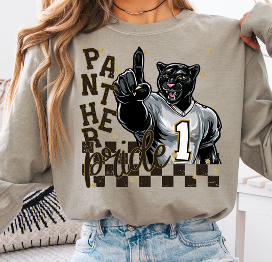 Panthers ~ Grunge Mascot ~ SAG25 ~ DTF Transfer
