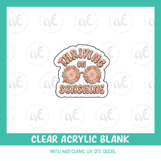 AD75~ Thriving on Sunshine ~ Acrylic + UV DTF Decal Set