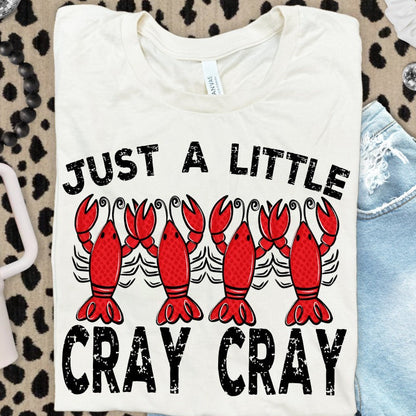 Just a Little Cray Cray ~ SAG26 ~ DTF Transfer