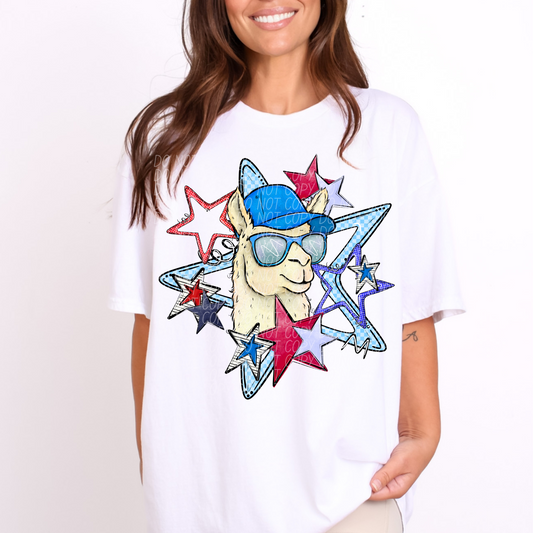 Llama Stars ~ 25CSD05 ~ DTF Transfer