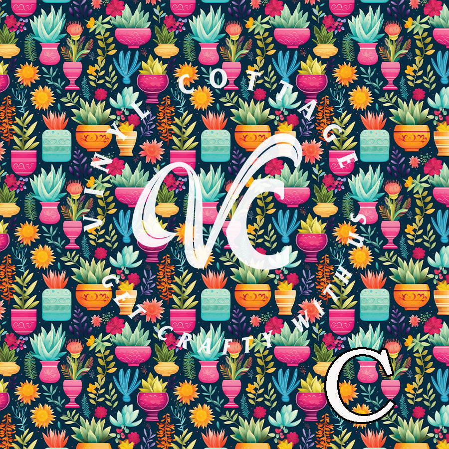 Colorful Cacti ~ LV12