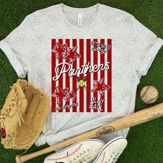 Panthers Stars and Stripes Baseball/Softball ~ 26SAG ~ DTF Transfer