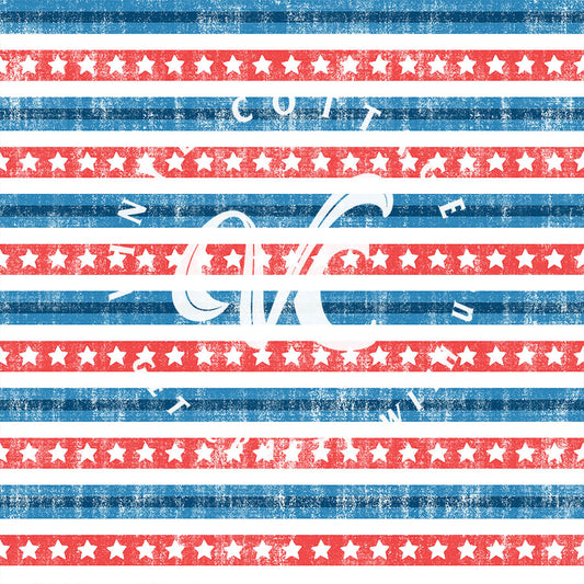 Stars and Stripes Rugged ~ PT12