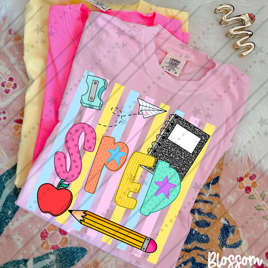 SPED School Stripes ~ CCo26 ~ DTF Transfer