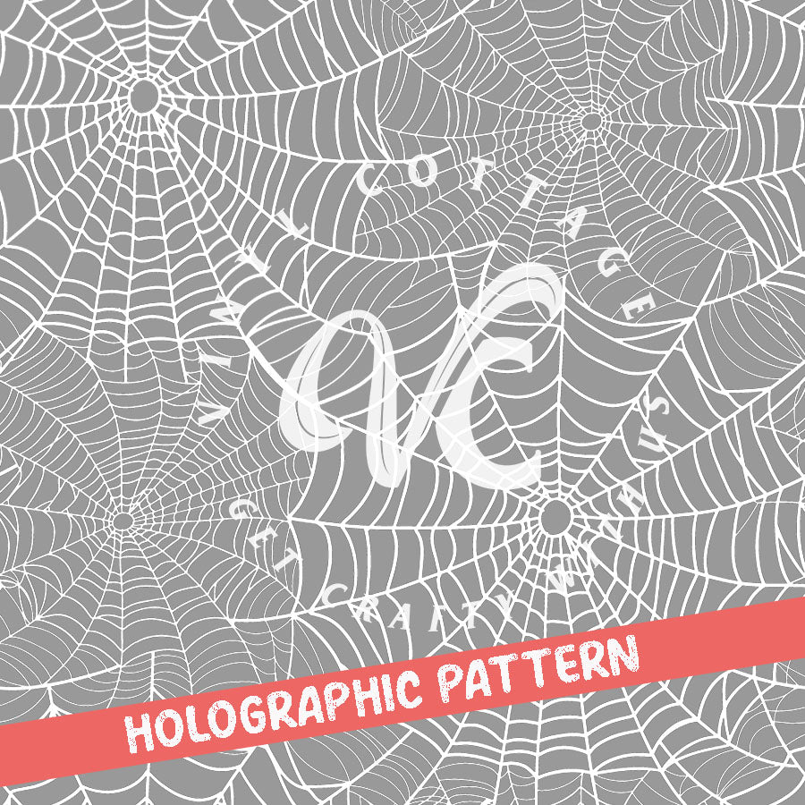 Spiderwebs ~ Holographic Vinyl ~ HG51