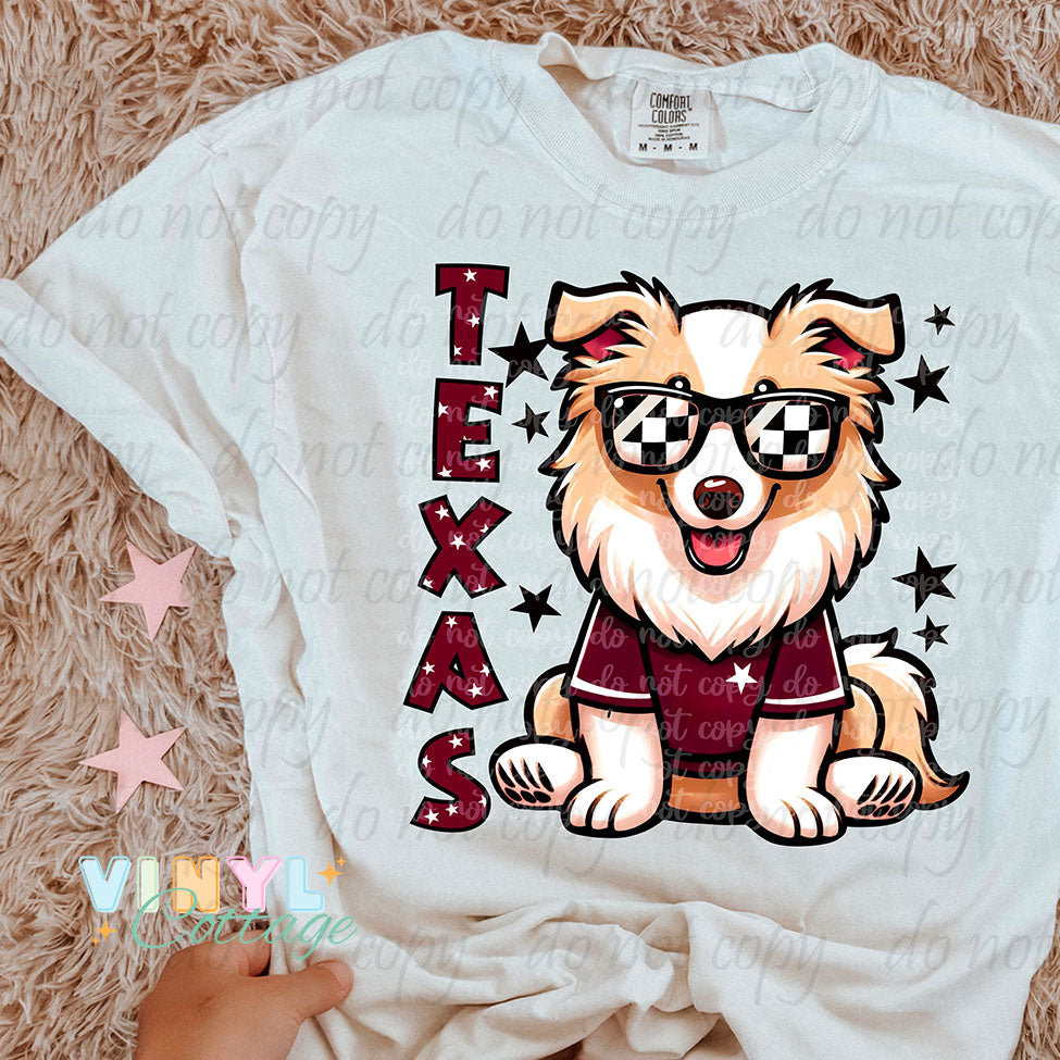 State and Animal Transfers ~ DTF