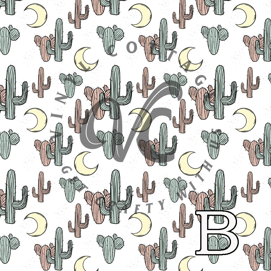 Desert Dreamer ~ WE15