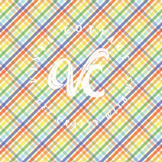 Rainbow Plaid ~ PL01
