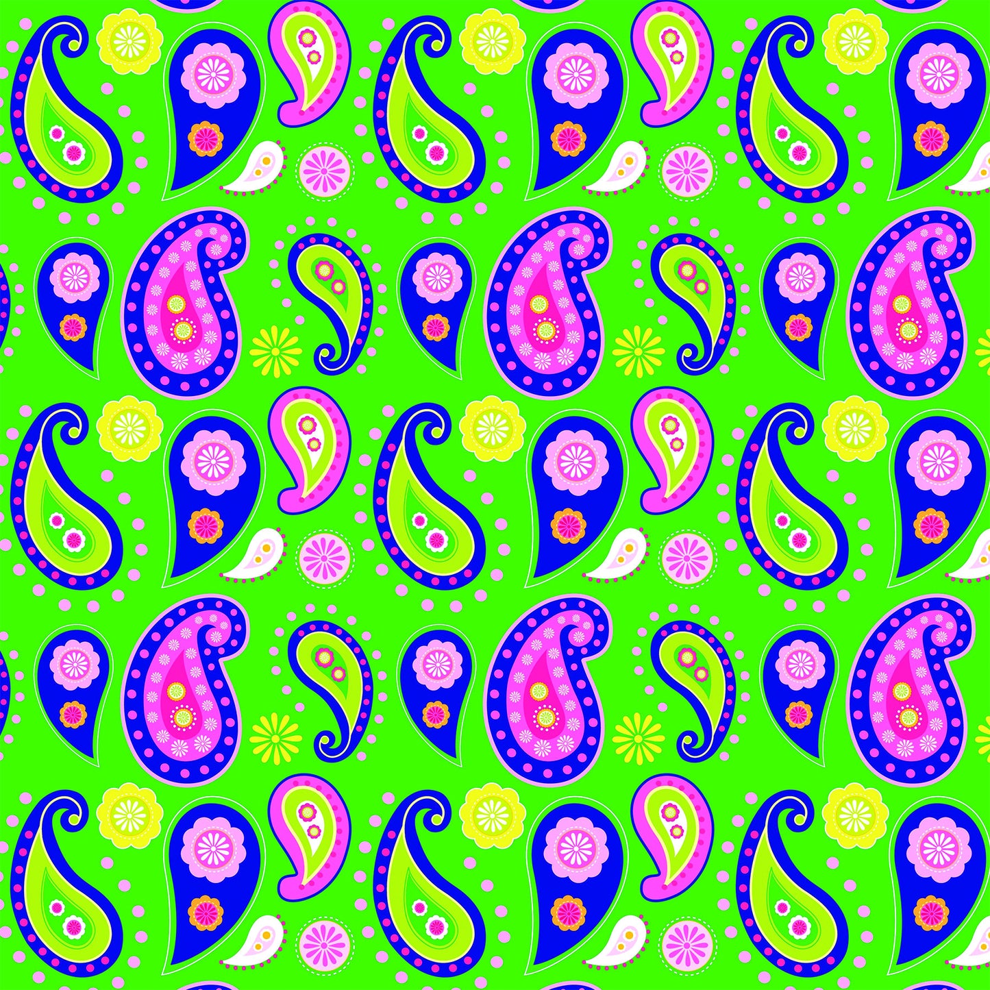 Paisley 2