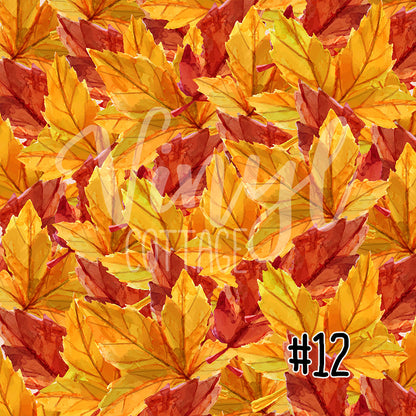 Fall Dream