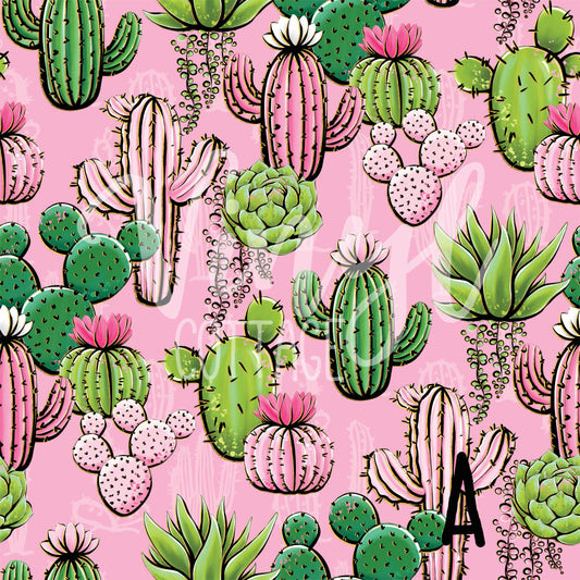 Cactus Pink ~ LV03