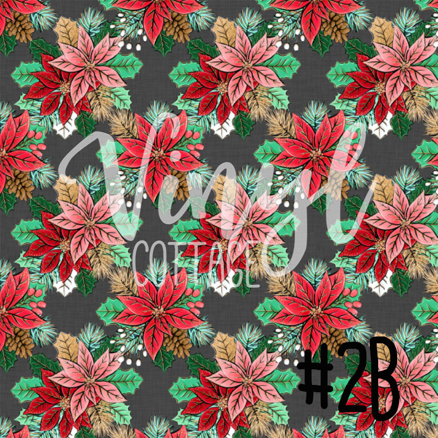 Poinsettias 02