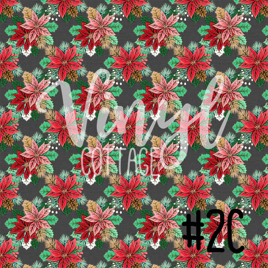 Poinsettias 02