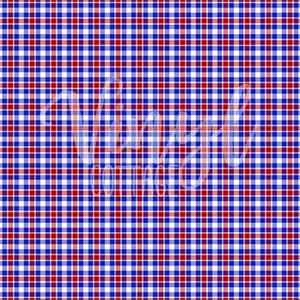Plaid-Blue and Red