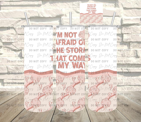 Not Afraid ~ Tumbler Wrap ~ TW11